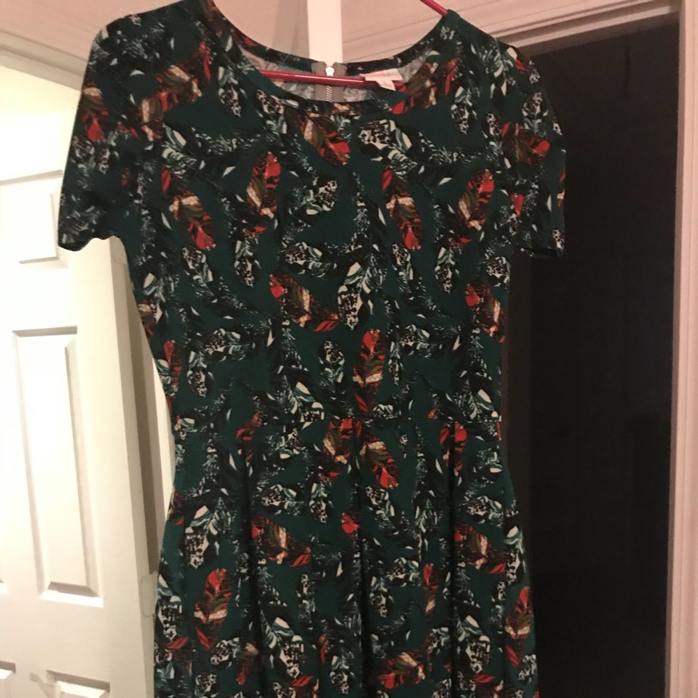 Large lularoe amelia